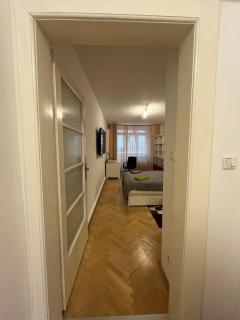 Cozy flat in Prague 3 - Prague - 5