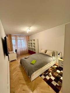Cozy flat in Prague 3 - Prague - 6