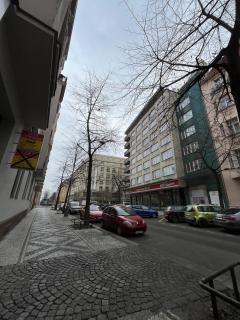 Cozy flat in Prague 3 - Prague - 4