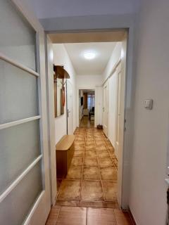 Cozy flat in Prague 3 - Prague - 1