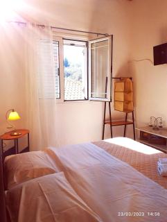 Alegria family apartment and studios - Oziás - 2