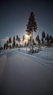 Cozy year-round cabin on family friendly Furutangen - Åmot - 0