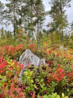 Cozy year-round cabin on family friendly Furutangen - Åmot - 3