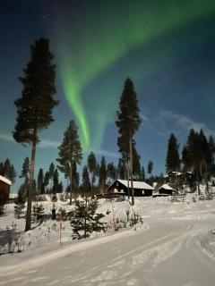 Cozy year-round cabin on family friendly Furutangen - Åmot - 1