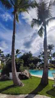 Caribe Home Dominicus Ginepro 3 - La Laguna - 7