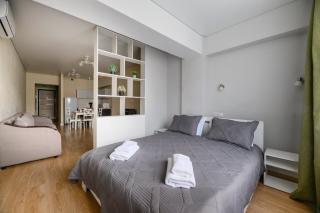 One Bedroom Apartment Near Arbat In The Golden Square - 9