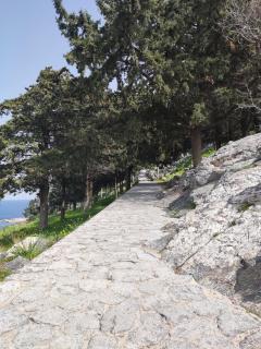 Lindos Esel Suites - 9