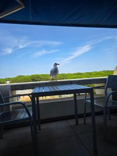 Studio cabin at Port Camargue - Le Grau-du-Roi - 6