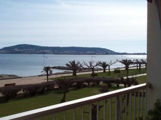 Appartement avec balcon, animaux admis, proche Thermes - FR-1-503-81 - Balaruc-les-Bains - 2