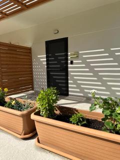 Eleonas Aparments 2 - Mochlos - 5