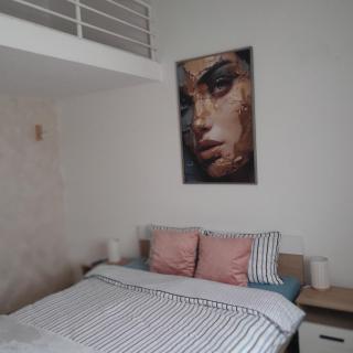 Nemanjina Centar - 5