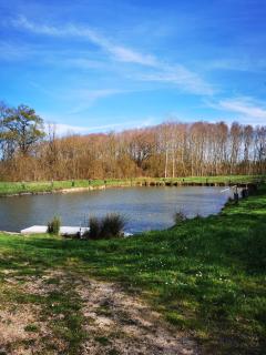 L'Aarona du Lidon - Saint-Hilaire-la-Palud - 1