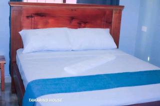 Tamarind Breeze House - Mariakani - 1