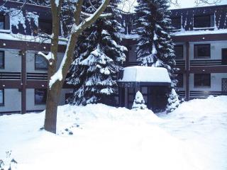 Ferienwohnungen in Winterberg-ex TUI - Winterberg - 1