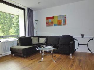Ferienwohnungen in Winterberg-ex TUI - Winterberg - 9
