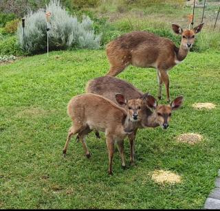 Holiday Home, Mosselbay - Mossel Bay - 5