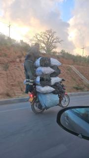 Star Beach Paradise - 3