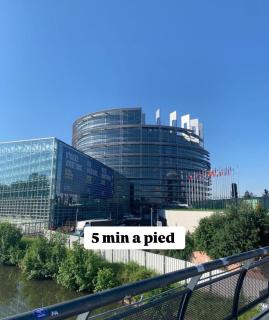 Appart Parlement 5 Min - Schiltigheim - 0