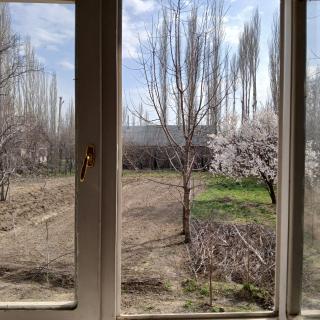 Guest house Kut - - 8