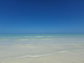 Luna y Sol Glamping Holbox - Isola Holbox - 9