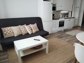 Väinö Apartment 13 - 1