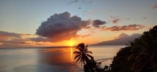 Maui Homestay Vue Océan Exceptionnelle & Baleines en Saison - Tohautu - 8