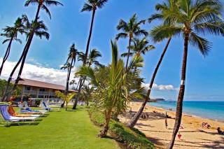 Amazing Honokowi Maui Beach condos in Lahaina - Lahaina - 0