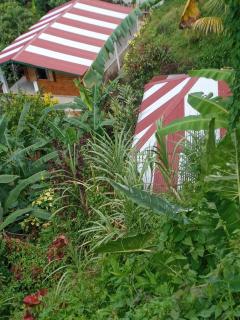 Berkey's Jungle Paradise - Roseau - 7