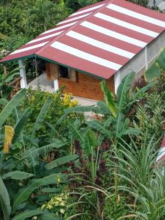 Berkey's Jungle Paradise - Roseau - 8