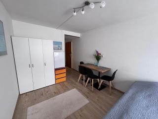 Zentrale 1-Zimmer-Wohnung Marzili Bern - Berna - 5