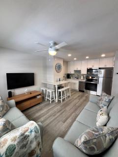 Updated Ocean View Condo Steps from the Beach, Stunning Sunsets & Gulf Swims Await - Indian Rocks Beach - 3