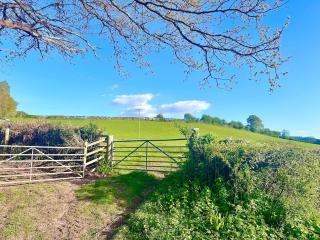 Luxury 3 bed rural stone barn INCL CONT BREK for 5 - Usk - 1