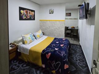 Apartaestudios independientes cerca al aeropuerto Bogotá - Bogotá - 7