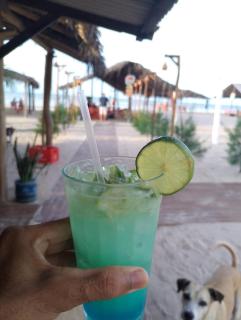 Casa de praia - Luis Correia - 6
