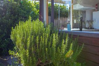 Lovely Pet Friendly Townhouse - Methven - 3