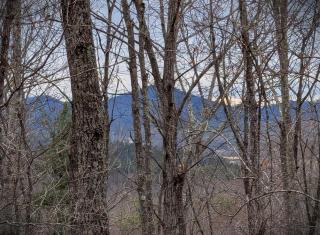 Bear Crossing Cabin - Blairsville - 9