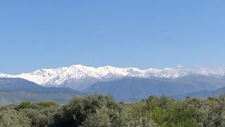 Villa Jnane Rabia - 7