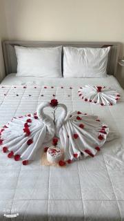 Hoa Mai Homestay - Phú Quốc - 1