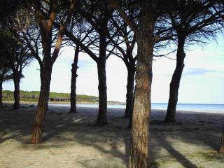 Casetta sul Mare - Budoni - 6