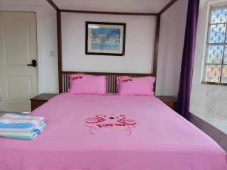 Da Pink And White Palace - Nassau - 1