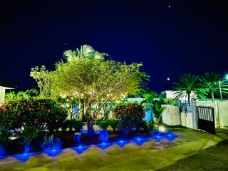 Eagle Stays Aruba-NEW Luxury, Cozy & Spacious Studio Near Eagle Beach! - Oranjestad - 9