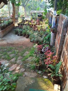 Doctors Plaza Home stay & Spa wellness center - Kovalam - 4