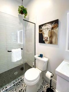 Downtown Boulder Luxury - 2