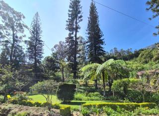 Meena Ella Bungalow - Nuwara Eliya - 3