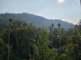 Nutmeg shades Munnar - Anachal - 9