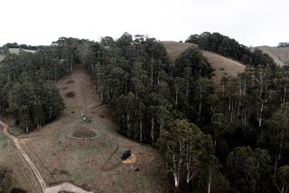 Disconnect in a Private Nature Cabin - Luen - 9