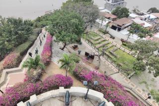 Depa en Bellini, frente al the point - 2