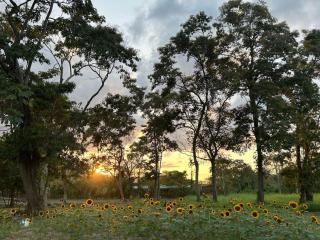 Cacao Chalet II - La Ceiba - 3