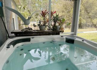 House Spa and Pool near Daytona Beach - Palm Coast - 7