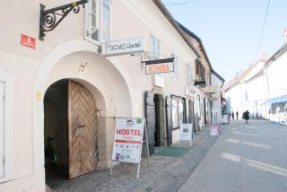 Apartment Bon Voyage - Maribor - 1